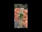 Piaget Vintage Green jade Dial Diamond Gold Ladies Watch